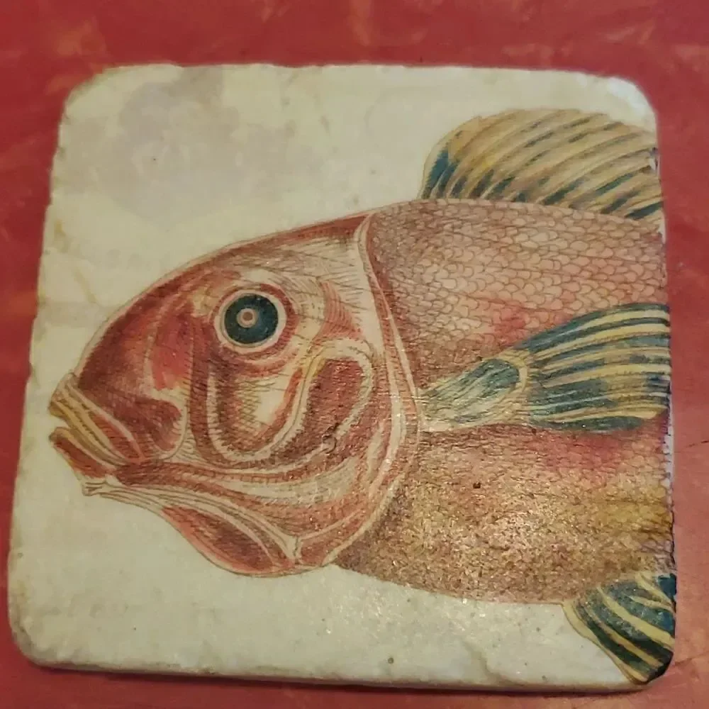 Tim Coffey Fish Sone Coasters Set of 4 Cork Backs Fishing Man Cave Marine Life